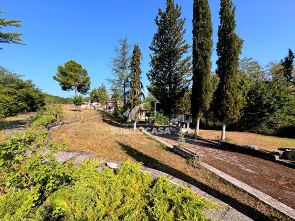 Agenzia Immobiliare Subito Casa