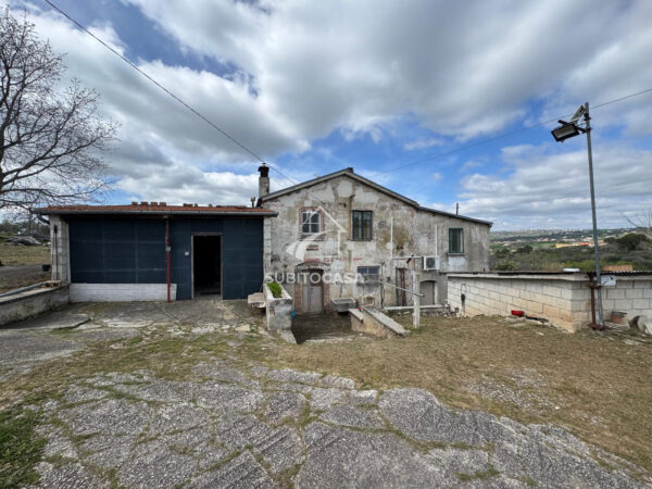 Agenzia Immobiliare Subito Casa