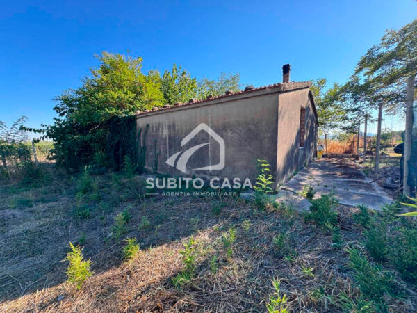 Agenzia Immobiliare Subito Casa